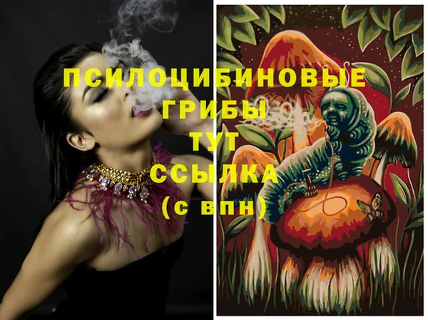 дурь Абаза