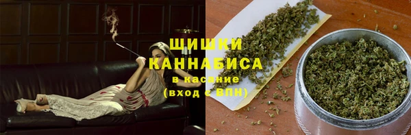 ешки Алексин