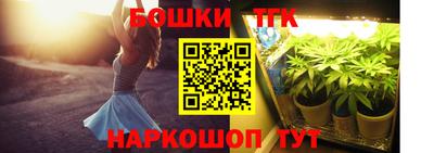 ПСИЛОЦИБИНОВЫЕ ГРИБЫ Новозыбков