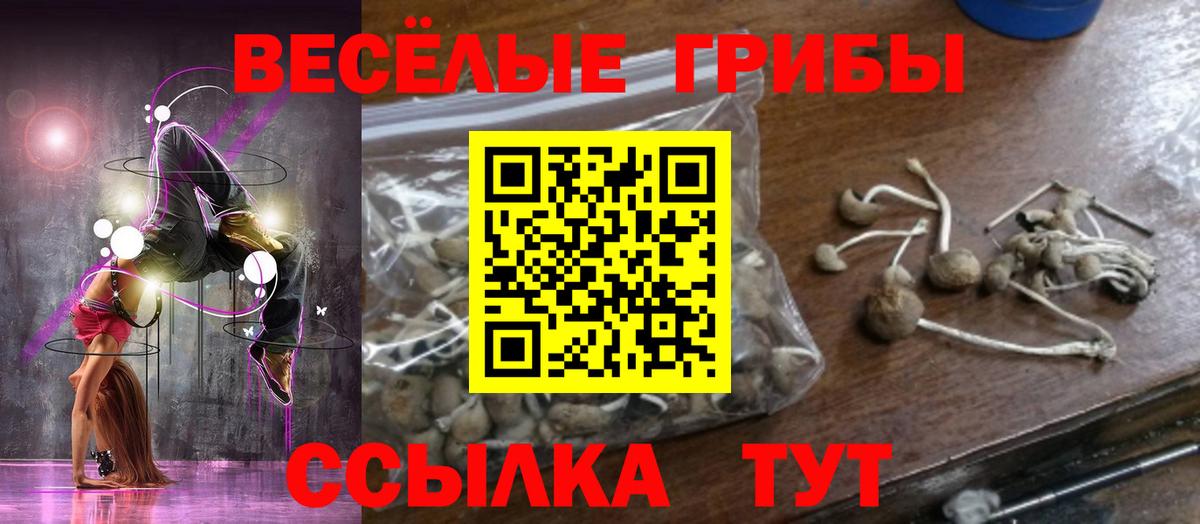 Псилоцибиновые грибы мицелий Подольск