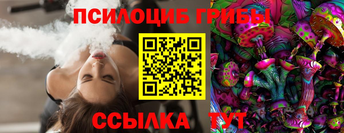 Псилоцибиновые грибы Psilocybine cubensis  Вход с VPN  Подольск  Псилоцибиновые грибы мухоморы 